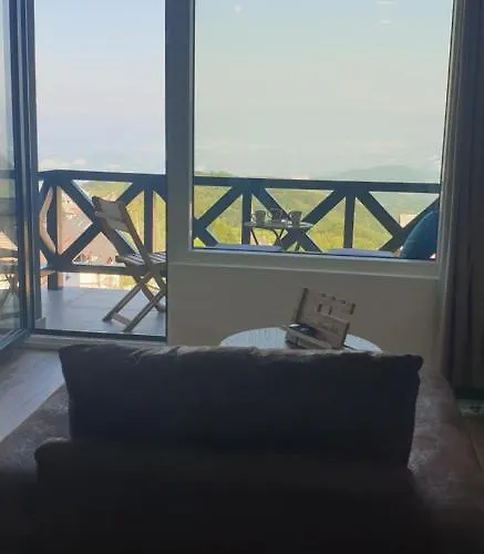 Buena Vista 카파오닉