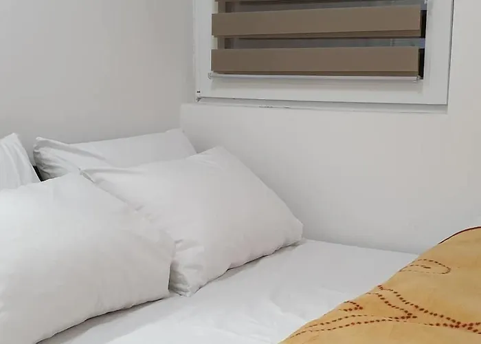 Buena Vista 카파오닉